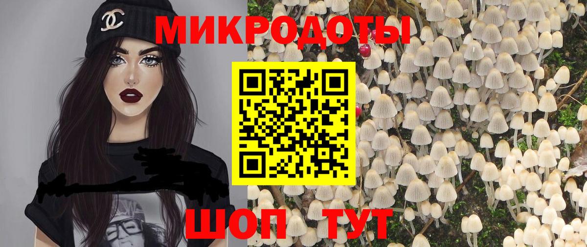 Псилоцибиновые грибы мицелий Добрянка
