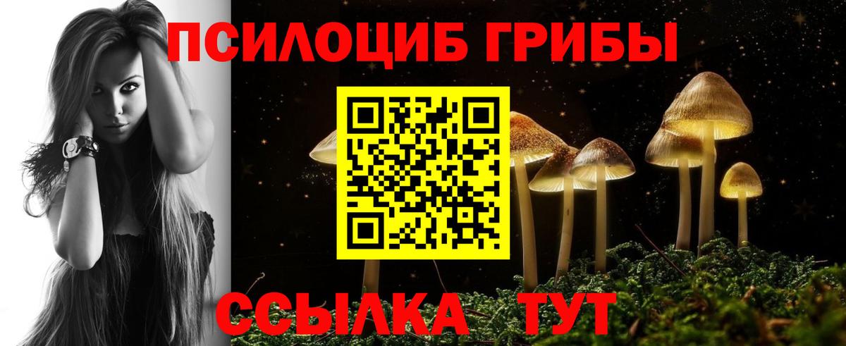 Добрянка  Псилоцибиновые грибы MAGIC MUSHROOMS  Вход с VPN  Галлюциногенные грибы Magic Shrooms 