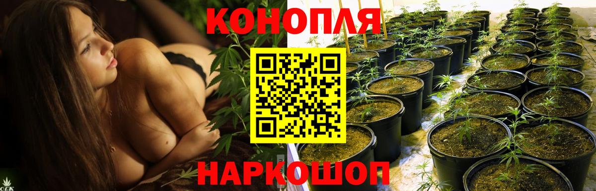 Каннабис SATIVA & INDICA Добрянка